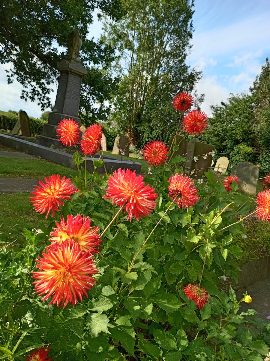 StMarys1225's tweet photo. Thank you to those that tend to our beautiful Church garden ❤️ https://t.co/Zb7pmF6mqP