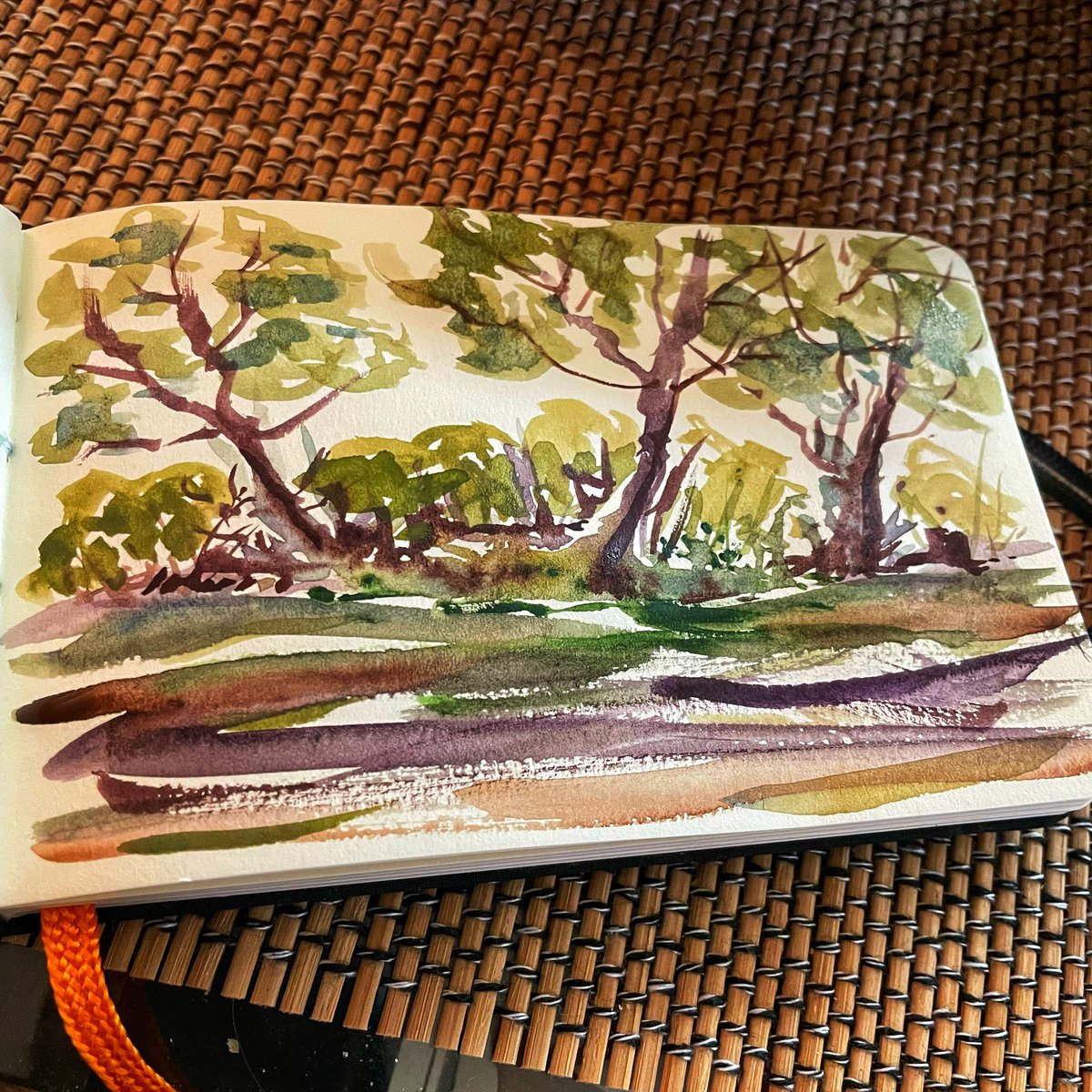 nickcobler's tweet photo. back to pushing paint around. #watercolorpainting #sketching https://t.co/OzZrQnuvlK