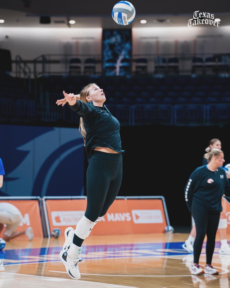 UTA Volleyball (@utamavsvb) on Twitter photo Putting in work 😤
#BuckEm🐎 Putting in work 😤
#BuckEm🐎