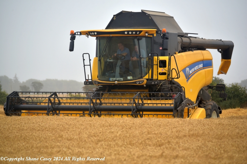 sgcaseyck25's tweet photo. #Harvest2024 The splash & dash theme to this years Harvest continues but every bushel in the tank is better than it still standing in the field. #EastCork once again you never disappoint #machineryaddict, even managed to snap a Samco 2085. Some nice going being put to the knife. https://t.co/2HM4NA6JKt
