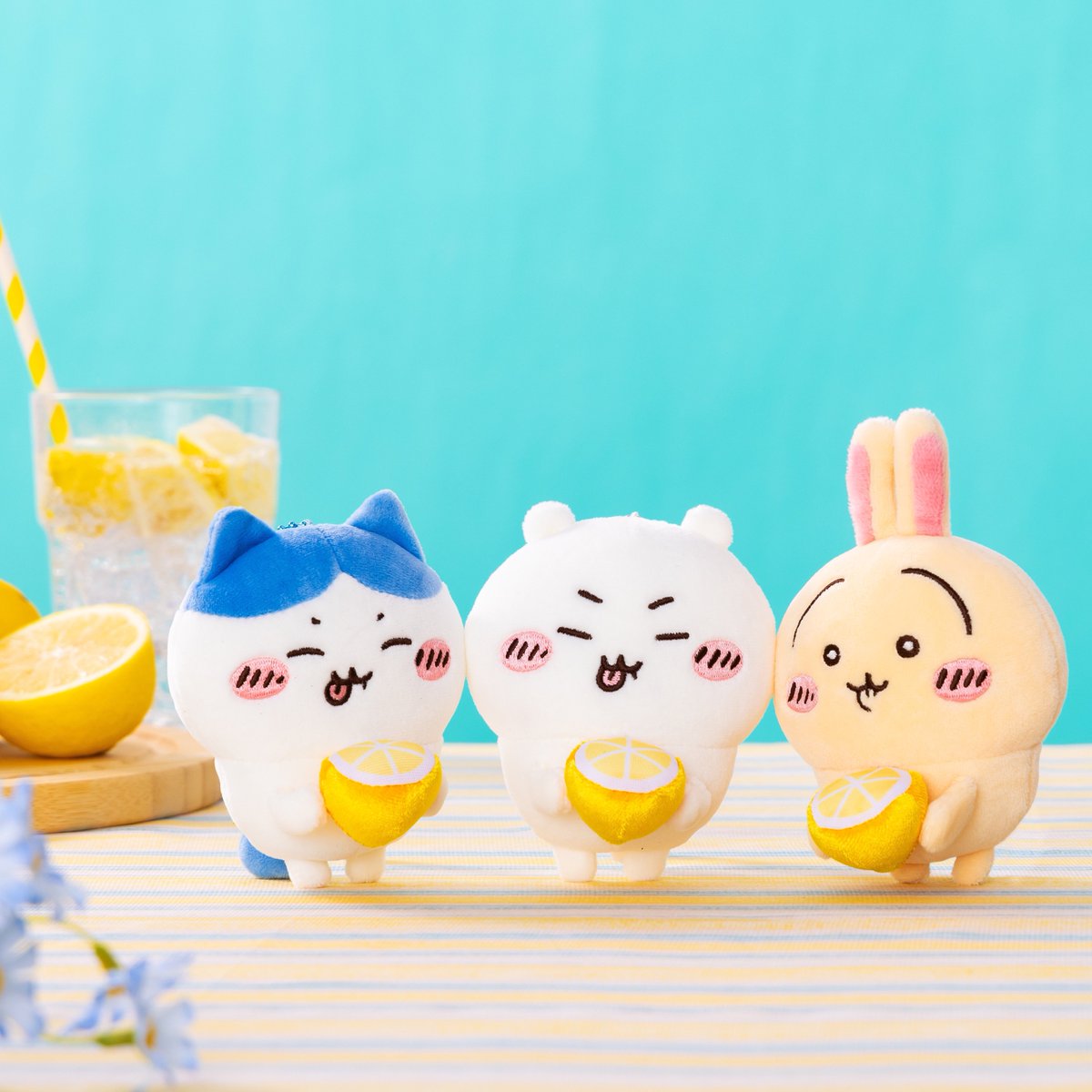 カワッチ様　【専用購入】　今月分　まとめ売り ma202410013bgl.jpg