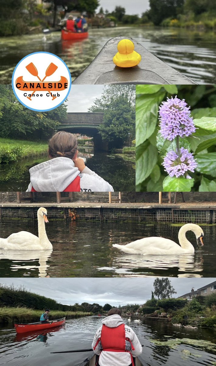 CanalsideBBurn's tweet photo. Another lovely paddle along the Leeds Liverpool canal this evening for our adult canoe club. πΆ #gopaddle #gopaddling
@CanalRiverTrust https://t.co/U4JSg6pKM4