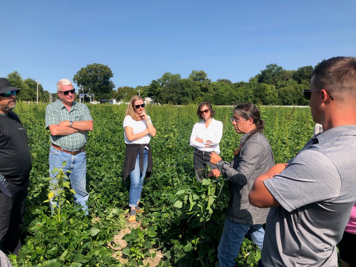 A great series of meetings and field visits: Bean Improvement Cooperative Genetics, W4150, Phaseolus Crop Germplasm ... and last but not least, field visits to lima and common bean fields! Hosted by Emmalea Ernest of <a href="/UDelaware/">Univ. of Delaware</a> <a href="/UDExtension/">UD Extension</a> <a href="/UDcanr/">UDAgNaturalResources</a> #SCRI #LIMA