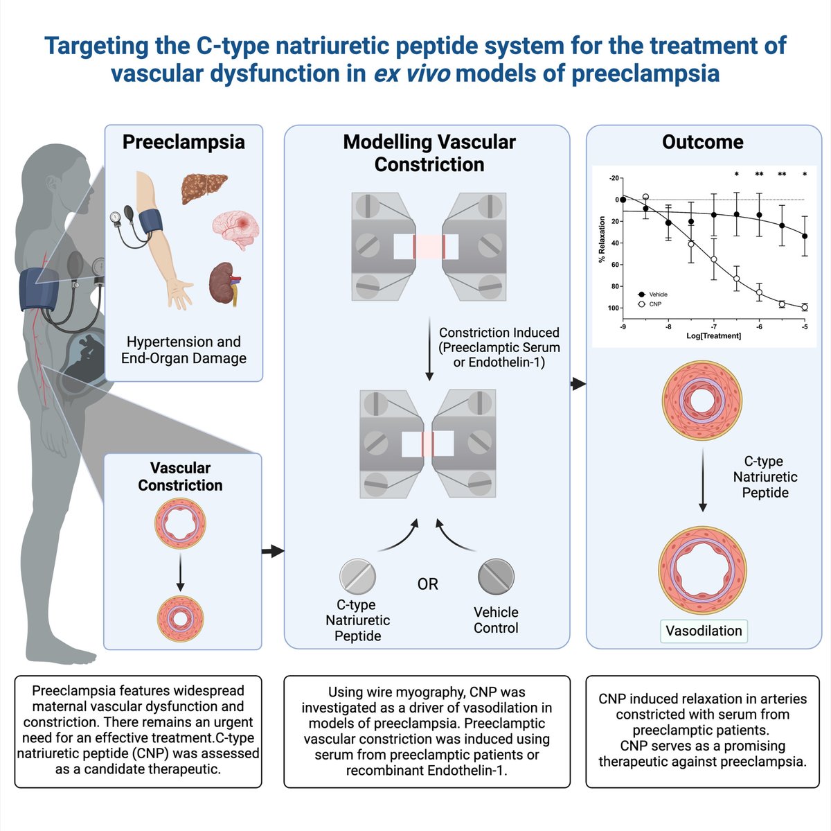 Hypertension (@hyperaha) on Twitter photo Targeting the C-type natriuretic peptide system for the treatment of vascular dysfunction in ex vivo models of preeclampsia <a href="/DrNatHannan/">Professor Natalie Hannan, PhD, GAICD</a> <a href="/biancafato/">Bianca Fato</a> <a href="/AlwisNatasha/">Dr Natasha de Alwis</a> <a href="/DrTKaituuLino/">Professor Tu'uhevaha Kaitu'u-Lino</a> <a href="/kristenbubb/">Dr Kristen Bubb</a>
ahajrnls.org/3MhB5FG Targeting the C-type natriuretic peptide system for the treatment of vascular dysfunction in ex vivo models of preeclampsia <a href="/DrNatHannan/">Professor Natalie Hannan, PhD, GAICD</a> <a href="/biancafato/">Bianca Fato</a> <a href="/AlwisNatasha/">Dr Natasha de Alwis</a> <a href="/DrTKaituuLino/">Professor Tu'uhevaha Kaitu'u-Lino</a> <a href="/kristenbubb/">Dr Kristen Bubb</a>
ahajrnls.org/3MhB5FG