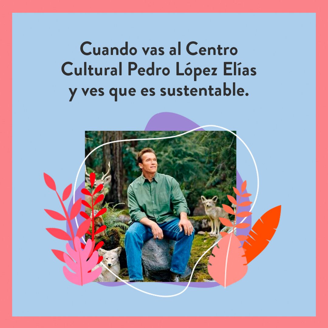 Así vas a quedar cuando veas que tratamos las aguas grises, usamos paneles solares y recolectamos el agua de lluvia. 🍃💧