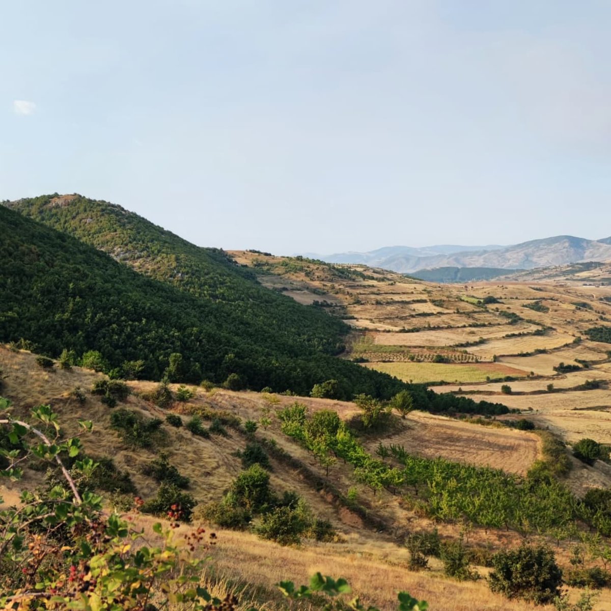 KorcaNeolithic's tweet photo. Survey ❤️🌞 

#korca #neolithic #project #albania #international #survey #landscape #nature #beauty https://t.co/6nOpU3bWC4