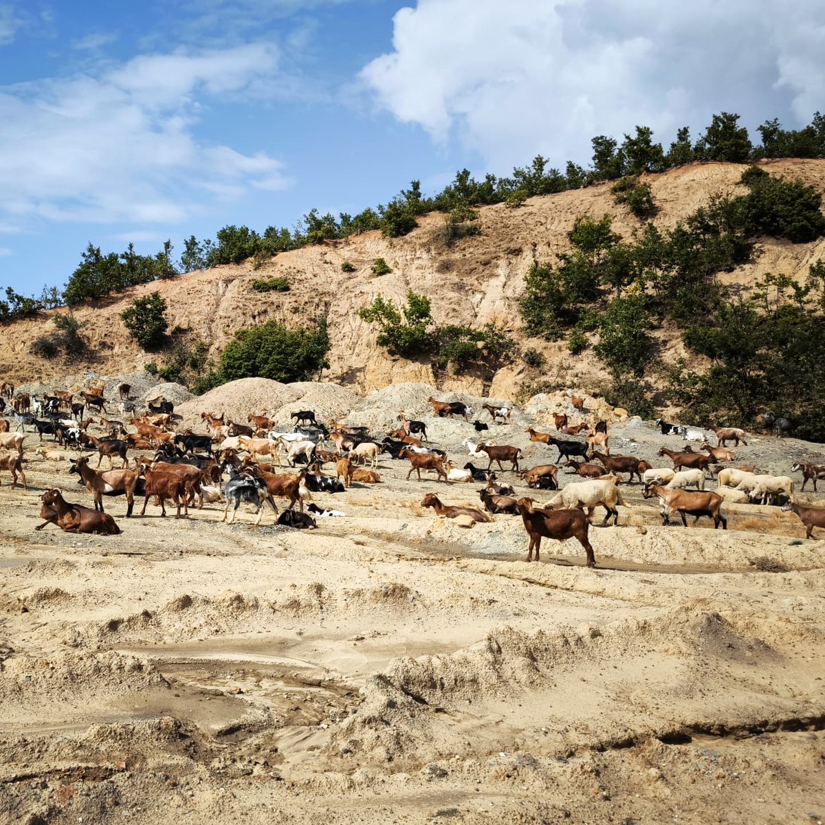 Survey ❤️🌞 

#korca #neolithic #project #albania #international #survey #landscape #nature #beauty