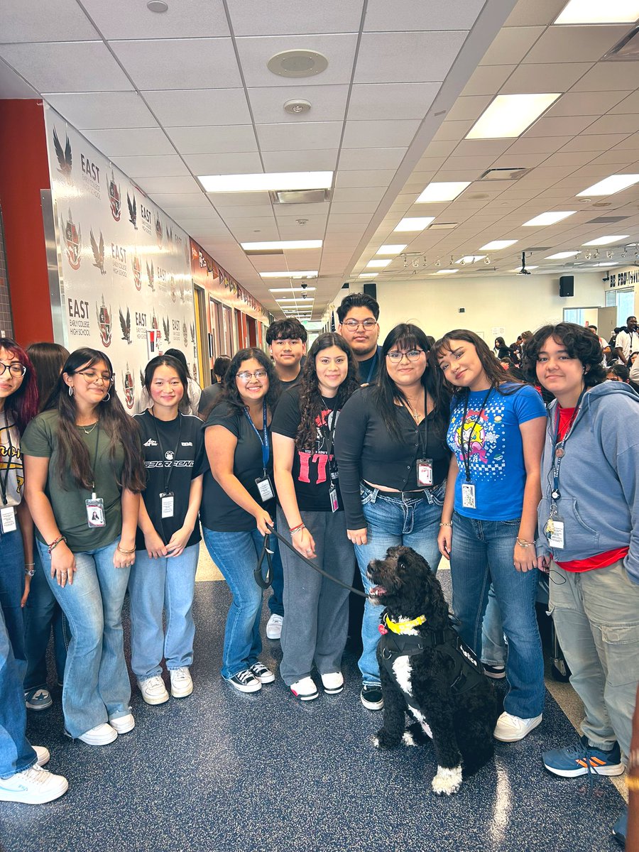 HISD PAWS (@hisdpaws) on Twitter photo Justice is making the rounds in the district! With visits today <a href="/edison_school/">Edison Middle School</a> and <a href="/EAST_ECHS/">East Early College HS</a> she provided plenty of PAWSITIVE vibes today! Who knows your campus can be next for a visit! 🐶 🏫 ❤️! Justice is making the rounds in the district! With visits today <a href="/edison_school/">Edison Middle School</a> and <a href="/EAST_ECHS/">East Early College HS</a> she provided plenty of PAWSITIVE vibes today! Who knows your campus can be next for a visit! 🐶 🏫 ❤️!