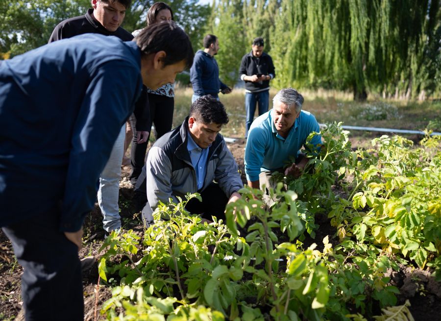 VIDAL CREÓ LA EMPRESA PROVINCIAL DE ALIMENTOS

🟢 | La Legislatura dio luz verde y aprobó el proyecto enviado por el Poder Ejecutivo.

Noticia completa🗞️ shorturl.at/X6Y5Z