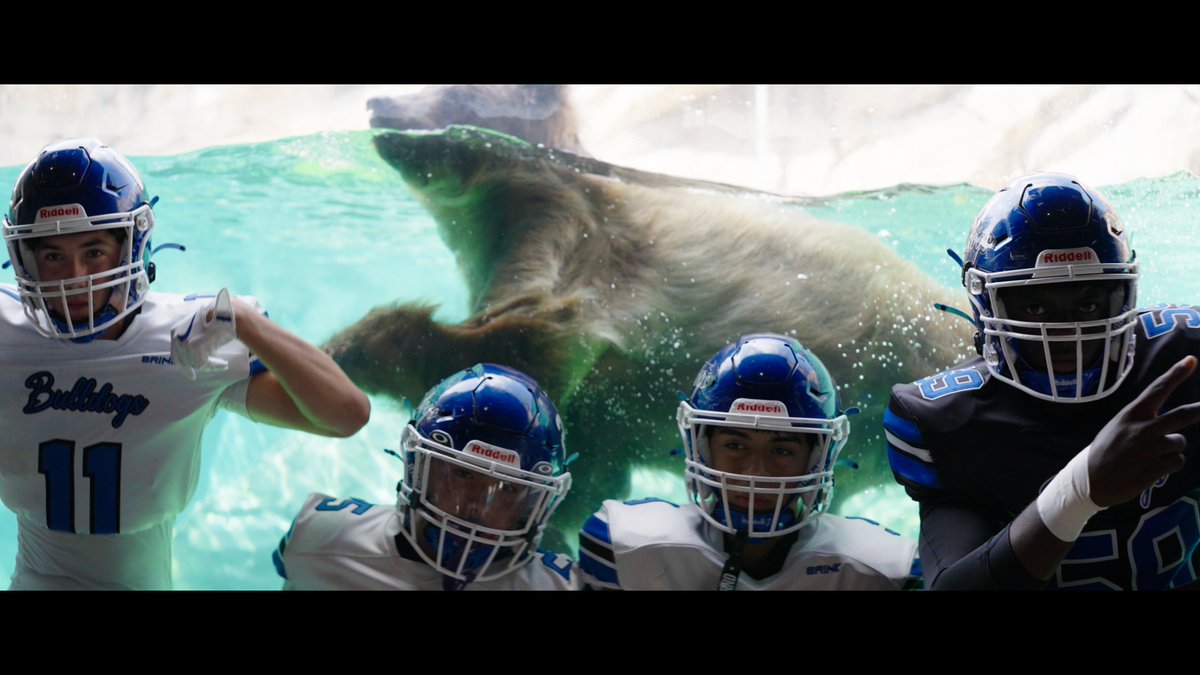 Media day at the  Brookfield zoo. We do
It better than anyone!