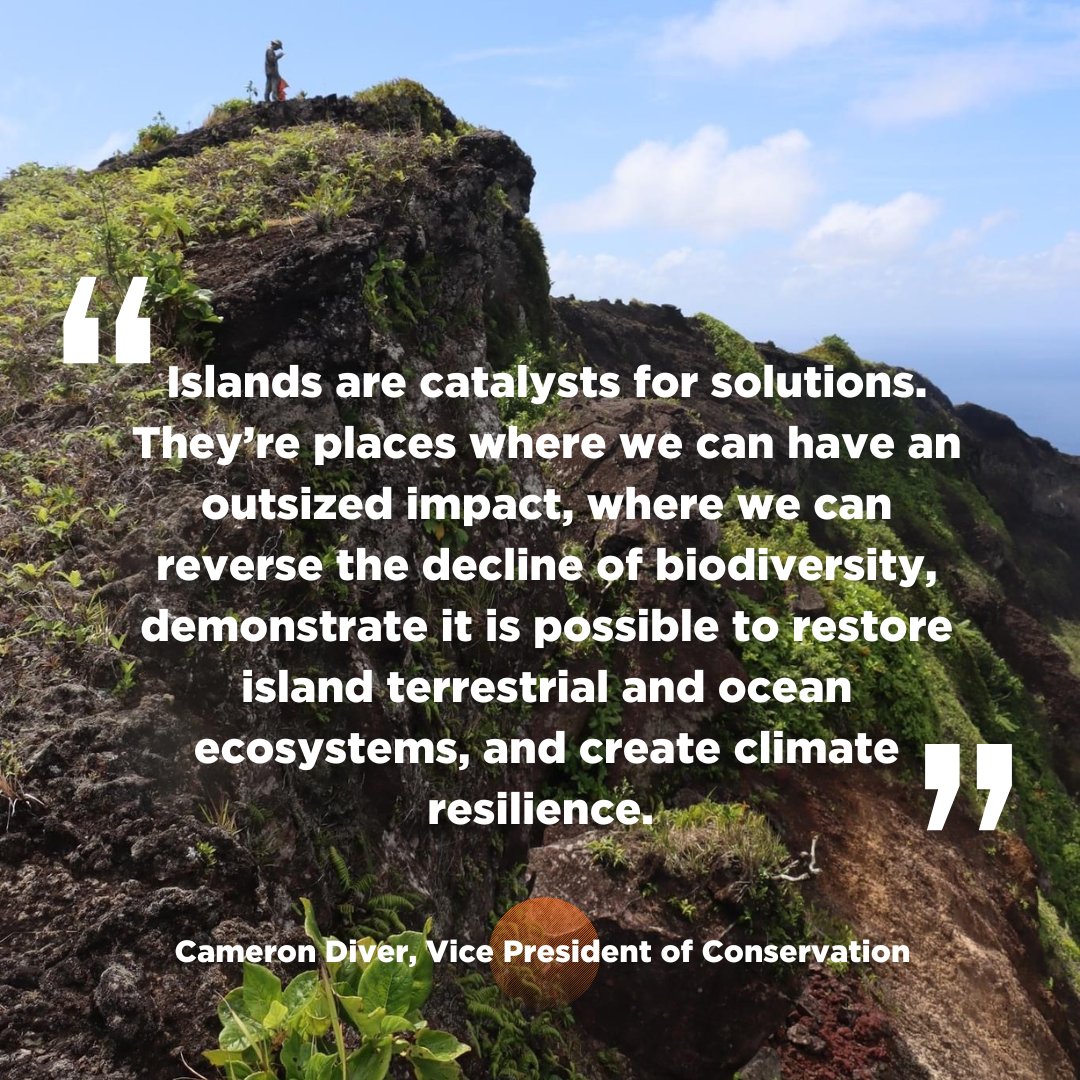 Island Conservation (@islandconserv) on Twitter photo Island Conservation’s new Vice President of Conservation, <a href="/Cameron_Diver/">Cameron Diver</a> , was recently featured on ABC Australia, talking about the promises and success of Island Conservation’s work and our ambitious Island-Ocean Connection Challenge.
Listen here: islandconservation.org/cameron-diver-… Island Conservation’s new Vice President of Conservation, <a href="/Cameron_Diver/">Cameron Diver</a> , was recently featured on ABC Australia, talking about the promises and success of Island Conservation’s work and our ambitious Island-Ocean Connection Challenge.
Listen here: islandconservation.org/cameron-diver-…