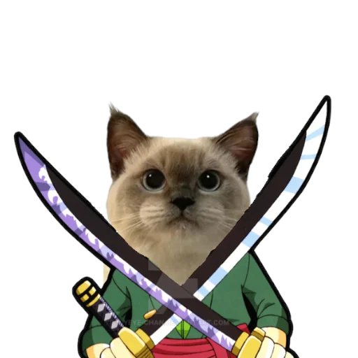 OzaruSama's tweet image. You ready to rumble other memes?

$XIAO is in the house!

@XiaoJieCTO @trondao @sunpumpmeme 

#Purrfect