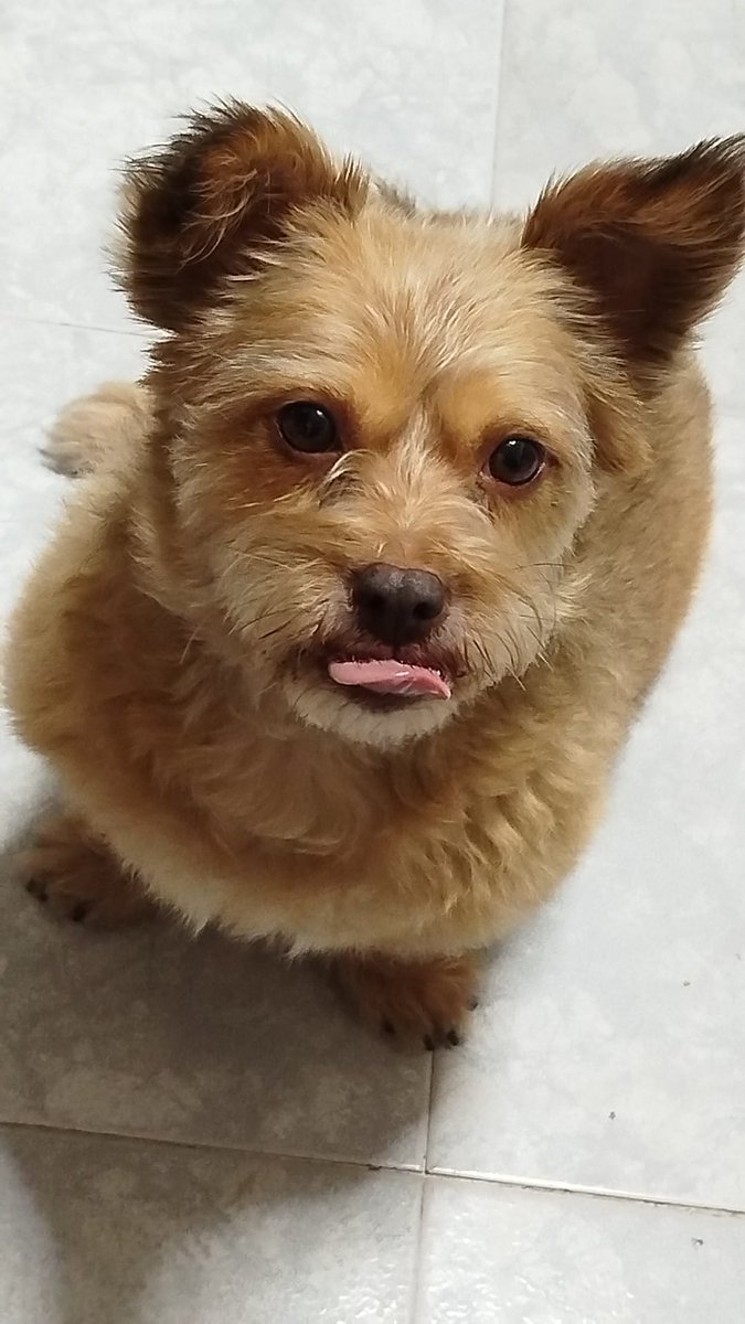 India e eu desexamosvos boas noites a todos 😘