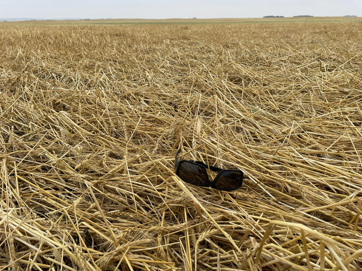 Brock Shearer tweet media