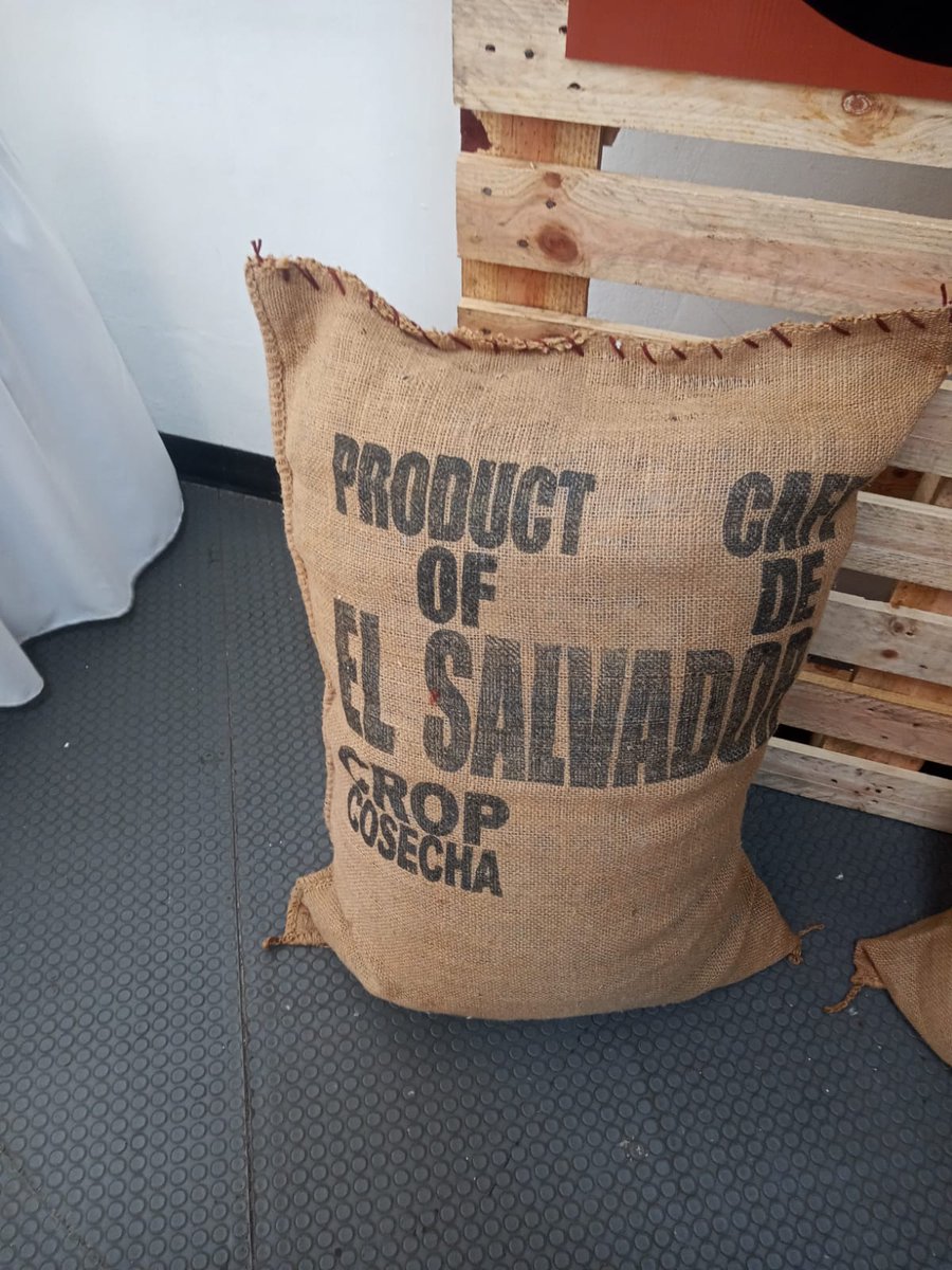 Museo Tin Marín presenta Coffee Ventura de Coscafé alegrando chiquitines y jugar en una piscina de pelotitas infladas con aire.
Es una experiencia educativa para conocer la historia del café. Plantosa es una Empresa de café con más de 30 años.