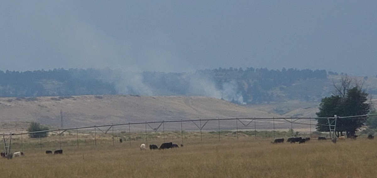 Aaron Titus tweet media