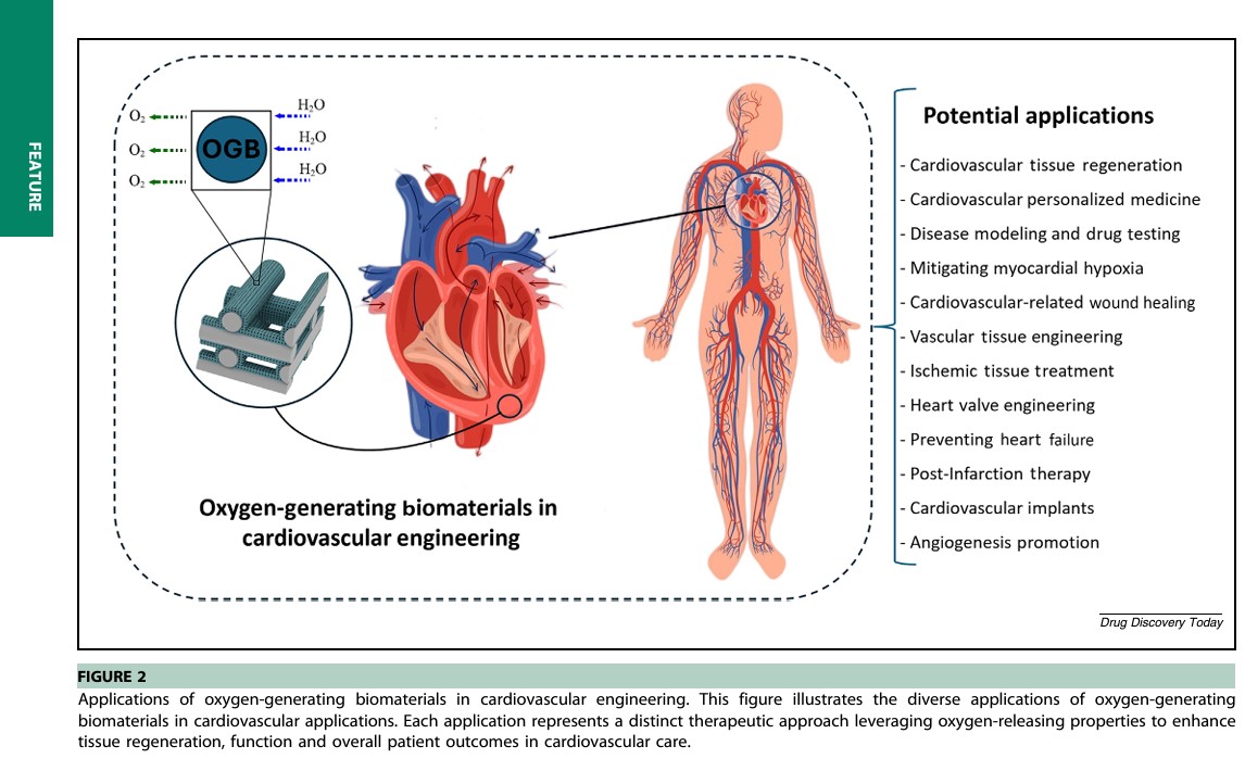 Check out our newly published invited feature article in Drug Discovery Today! Co-authored with Dr. Barbati, we explore the discovery of oxygen-generating biomaterials and their critical role in cardiovascular engineering. <a href="/DrugDiscovNews/">Drug Discovery News</a> <a href="/ElsevierConnect/">Elsevier</a> 
sciencedirect.com/science/articl…