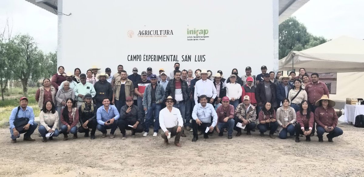 victor_suarez's tweet photo. El 16 de agosto se realizó el Encuentro de Escuelas de Campo en #Matlapa y San Luis Potosí. Se desarrolló en dos puntos la #Huasteca y la capital del estado. Estuvieron presentes en el Campo Experimental @inifap, Jessica Contreras Vargas, Coordinadora de la Región 27 de San Luis Potosí; el Dr. Sergio Beltrán López, Director INIFAP del Campo Experimental San Luis Potosí, y el Dr. Mauricio Velázquez Martínez, Investigador y Enlace. En la Huasteca Potosina, Alejandra Ramírez Gaytán, Subdirectora de Área de la Dirección General de Organización para la productividad de la Subsecretaria de Autosuficiencia Alimentaria, y Enlace de @Agricultura_mex de la región 27 de la Estrategia de Acompañamiento Técnico (EAT) del Programa Producción para el Bienestar (PpB), reunidos con 57 productoras y productores, técnicos y técnicas de San Luis Potosí (SLP). 🧵 1/3

@SEDARHSLP
@GobEdoSLP
@inifap
@cnsmnhpmx
@ANECMEXICO
@ElenaBuylla
@Conahcyt_Mex