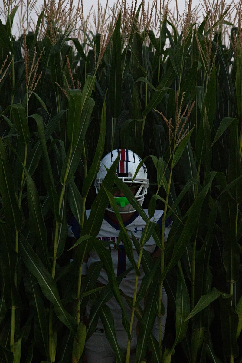 Crestview Knights HS Football tweet media