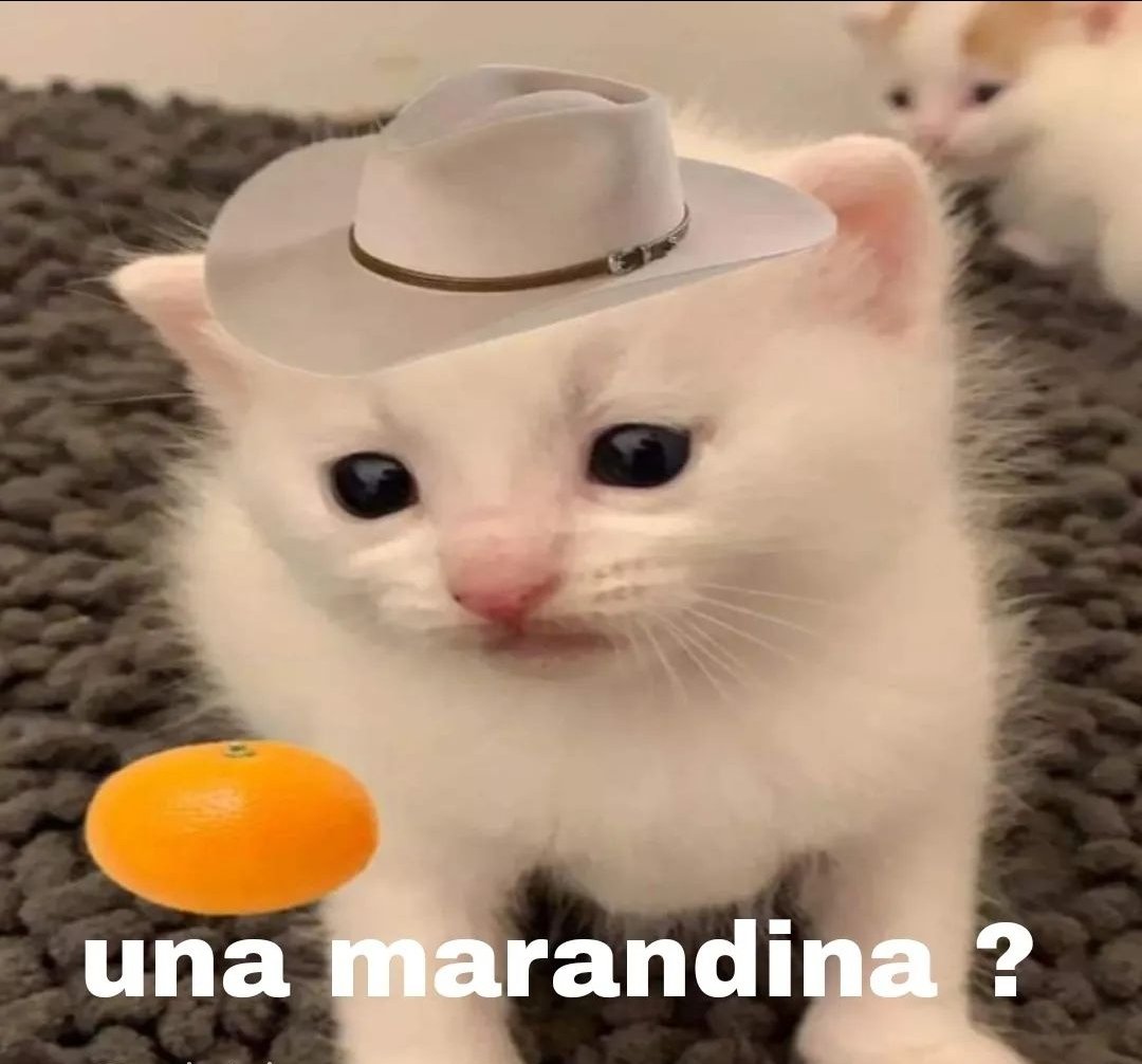 biciclotimia's tweet photo. Yo intentando socializar: https://t.co/BOAOEcgACe