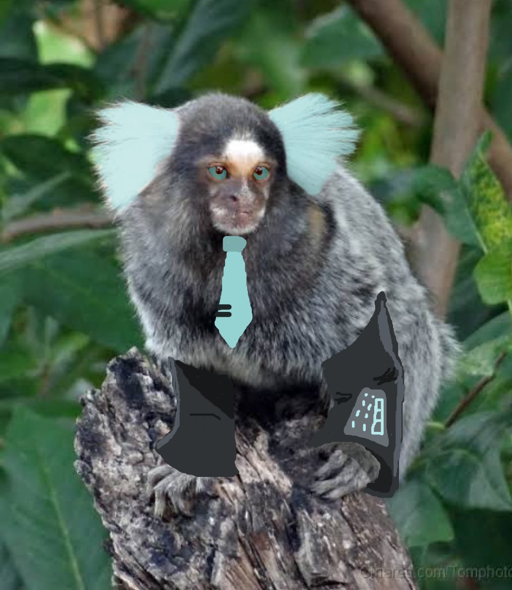 A verdadeira #brazilianmiku é e sempre será Hatsune Mico.