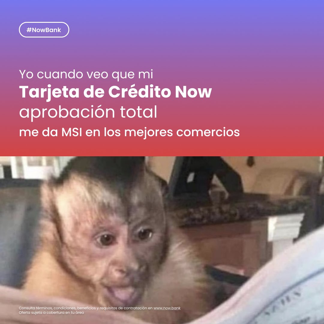 Nower, ¿ya conoces los comercios donde puedes pagar a MSI con tu Tarjeta de Crédito Now aprobación total? 

Consúltalos en 👉 ow.ly/nHMZ50T4zE1

Cuéntanos cuál será tu siguiente compra en los comentarios 👀
#NowBank #MSI #TarjetadeCredito #Neobanco