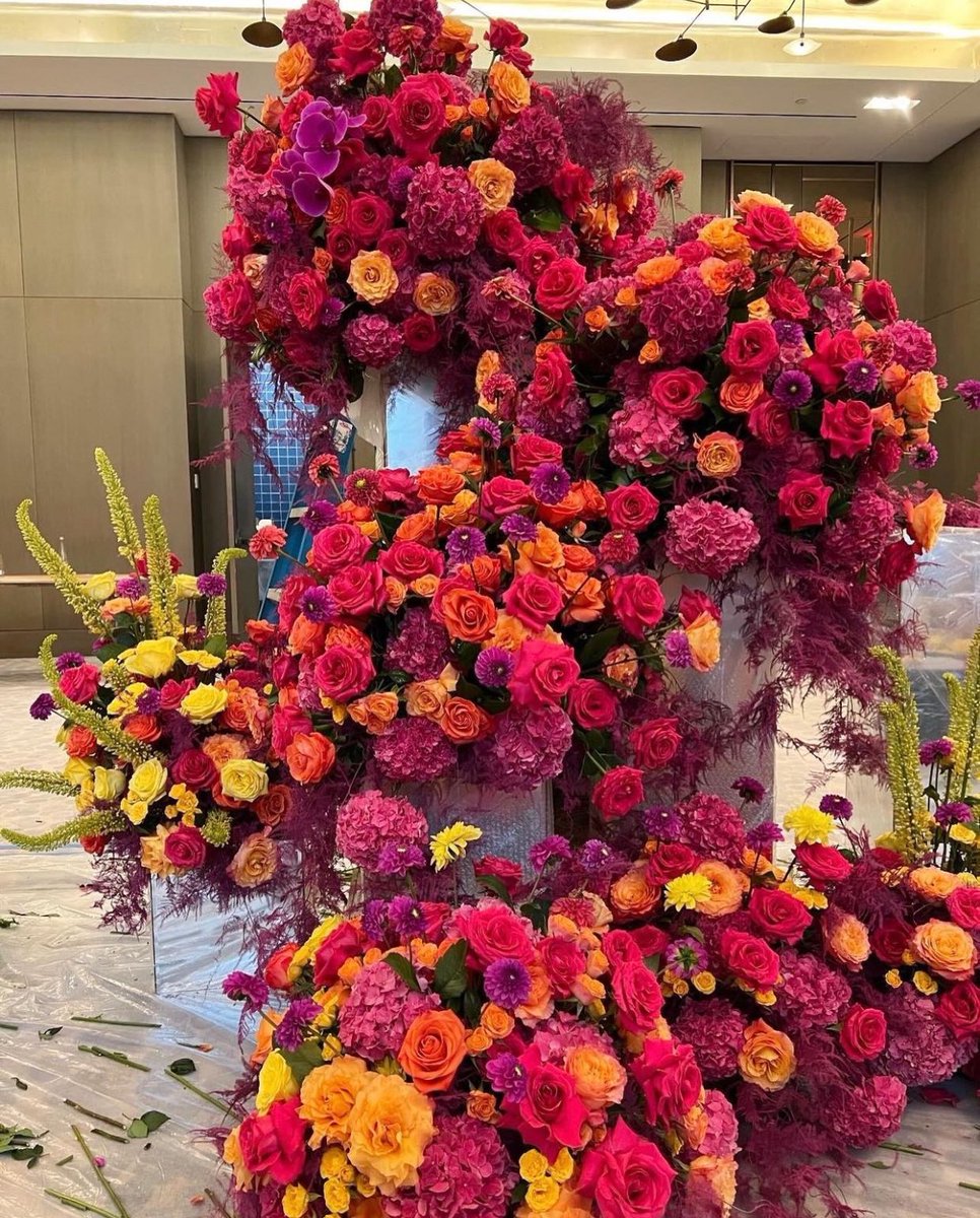 Heureux Anniversaire Tamarha💐🎁
<a href="/HWCGINFO/">TRE</a> 🌹
💙