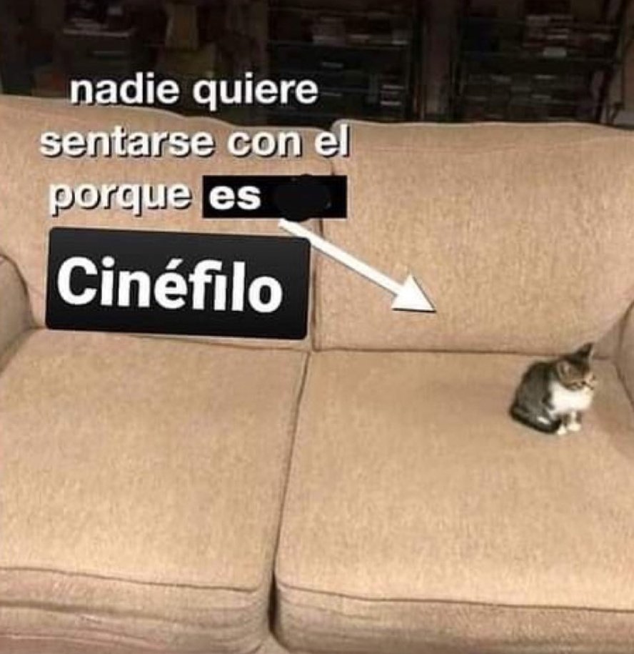 diego tweet media