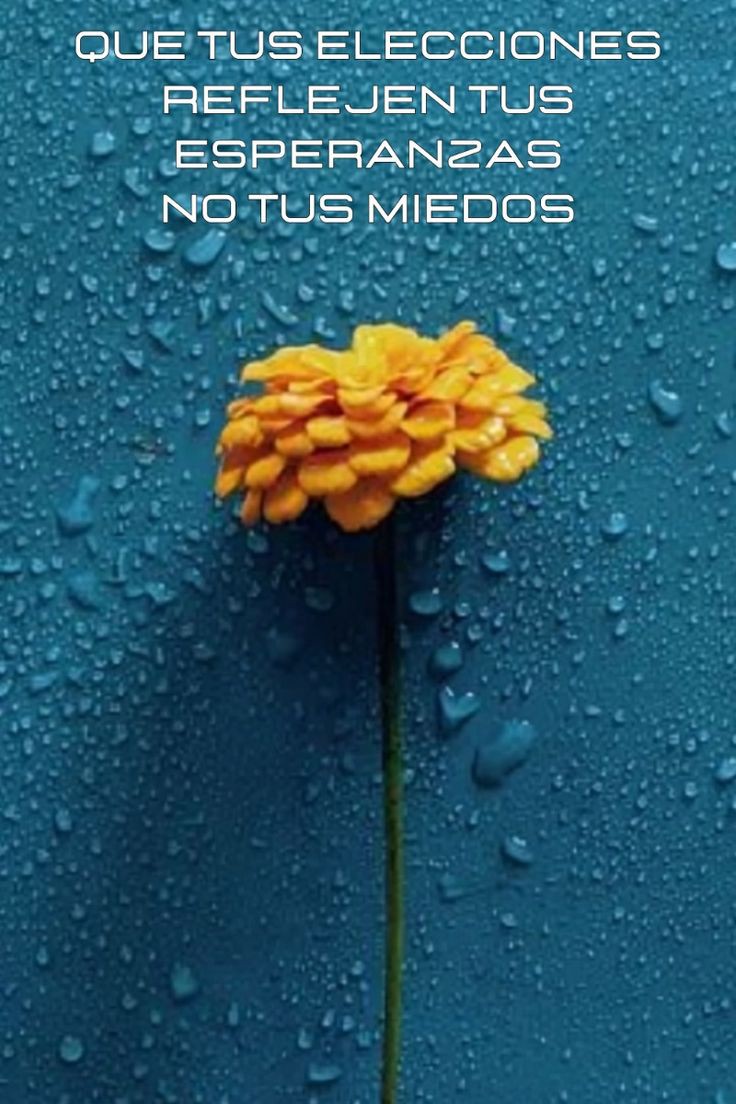 Juan José Gil Méndez (@juanjoingenio) on Twitter photo 