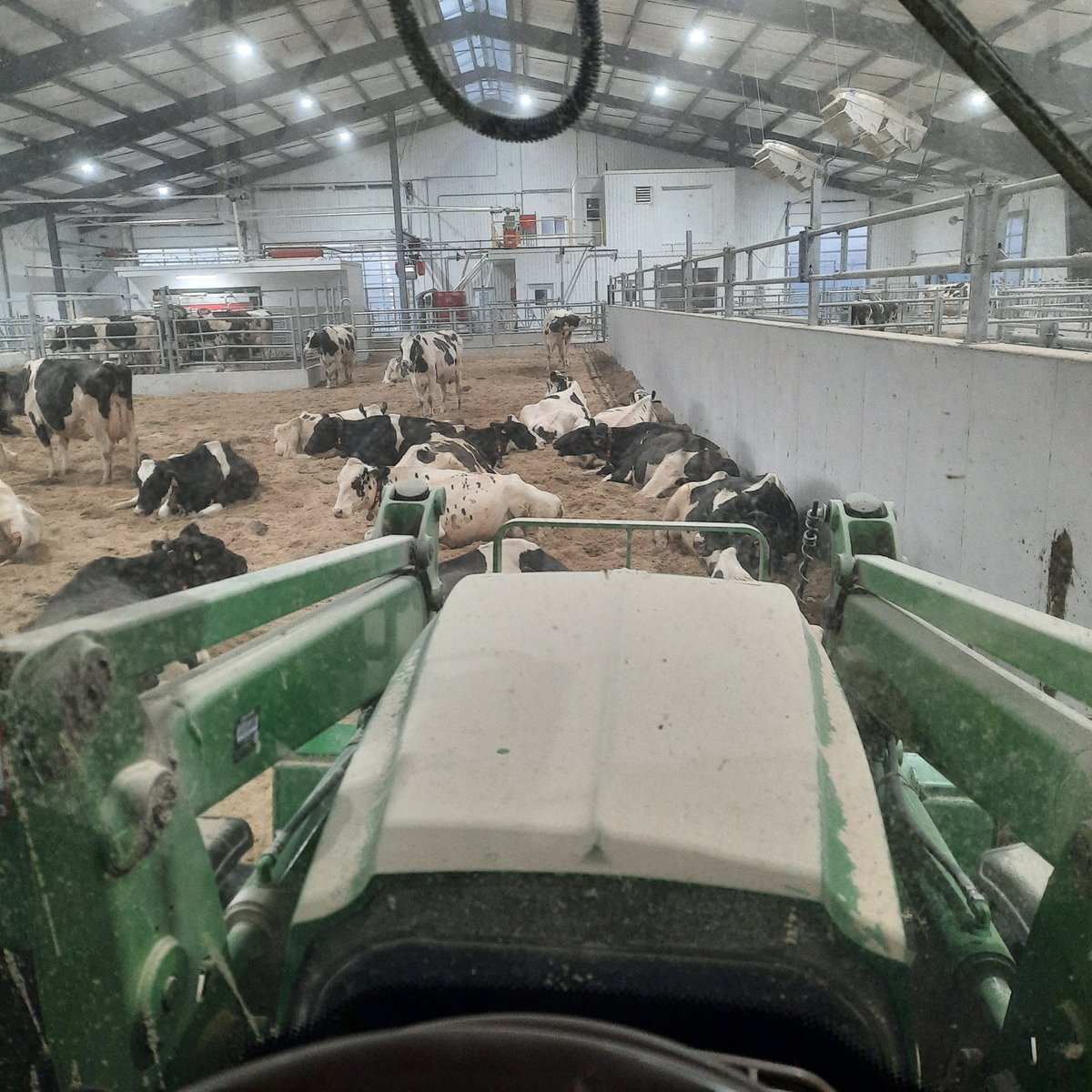 Jay Kitching tweet media