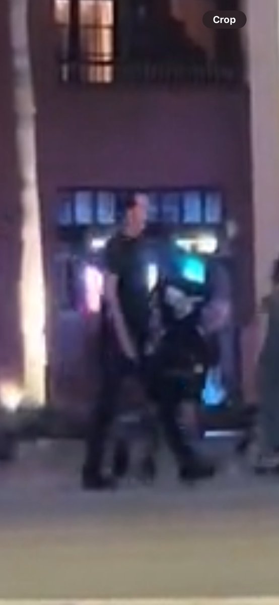 asher_adams's tweet photo. 1st cryptid sightings of the season 🫡 https://t.co/OwHtU0FJrl