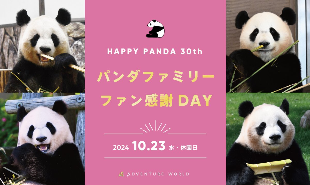 パンダ（感謝） maxresdefault.jpg