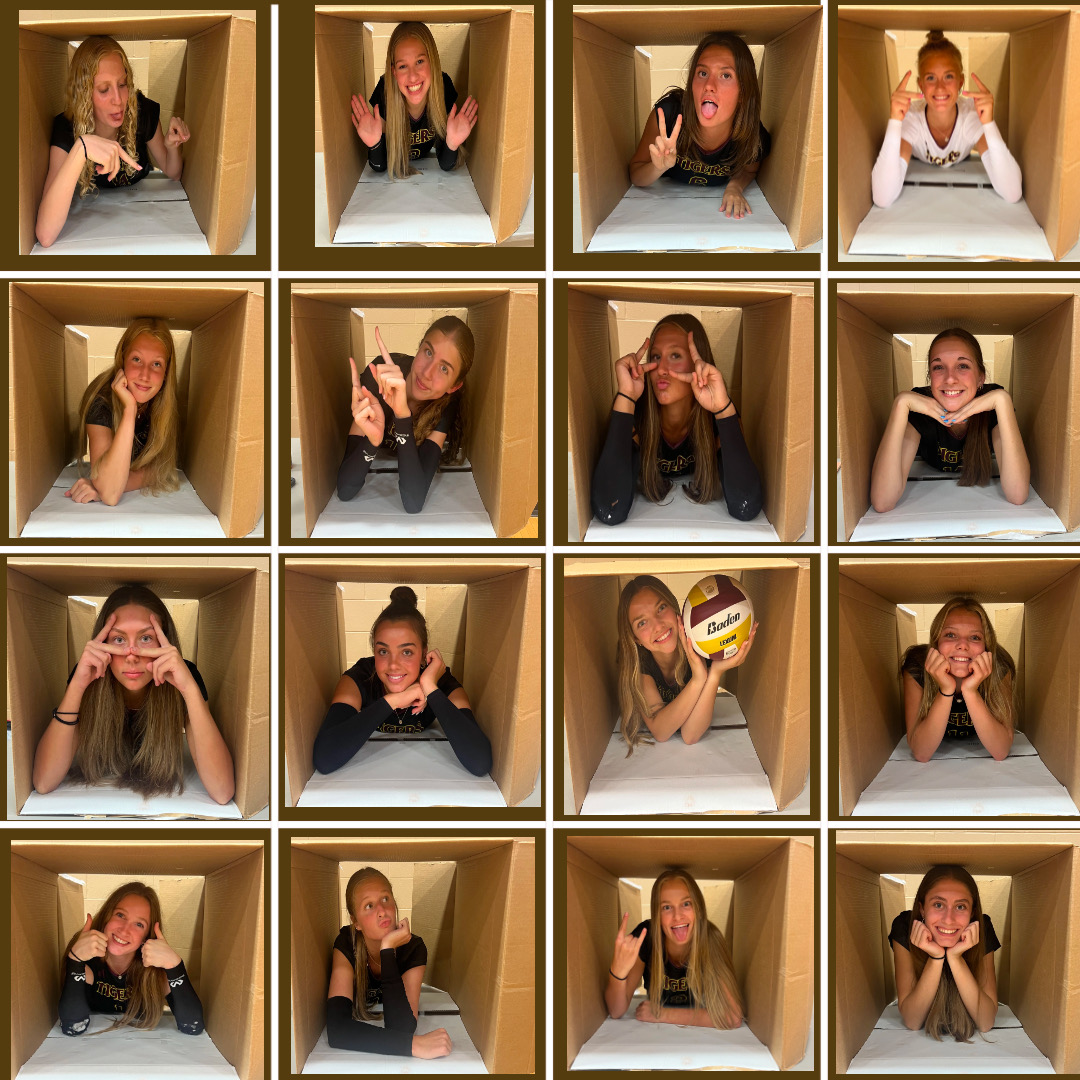 HHS Volleyball tweet media