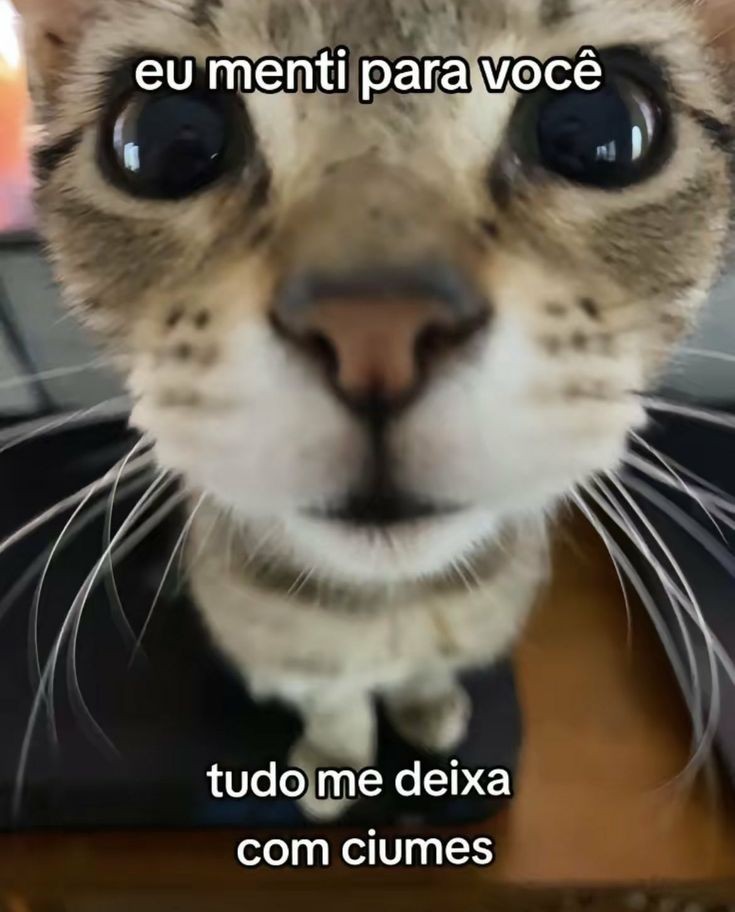 teu caos tweet media