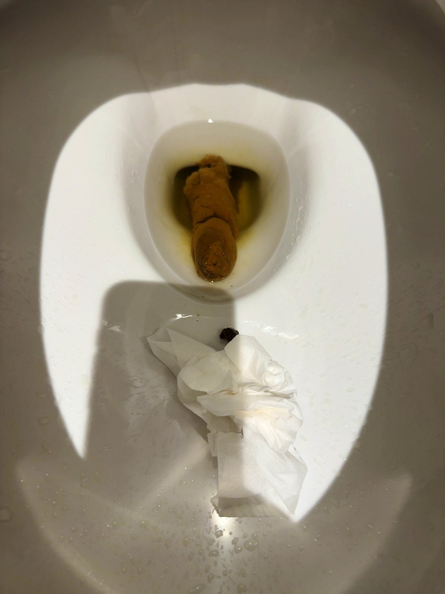 rumiscat's tweet photo. 最近💩調子良い
大体会社の昼休みにしてる https://t.co/mOB8lFbqd5