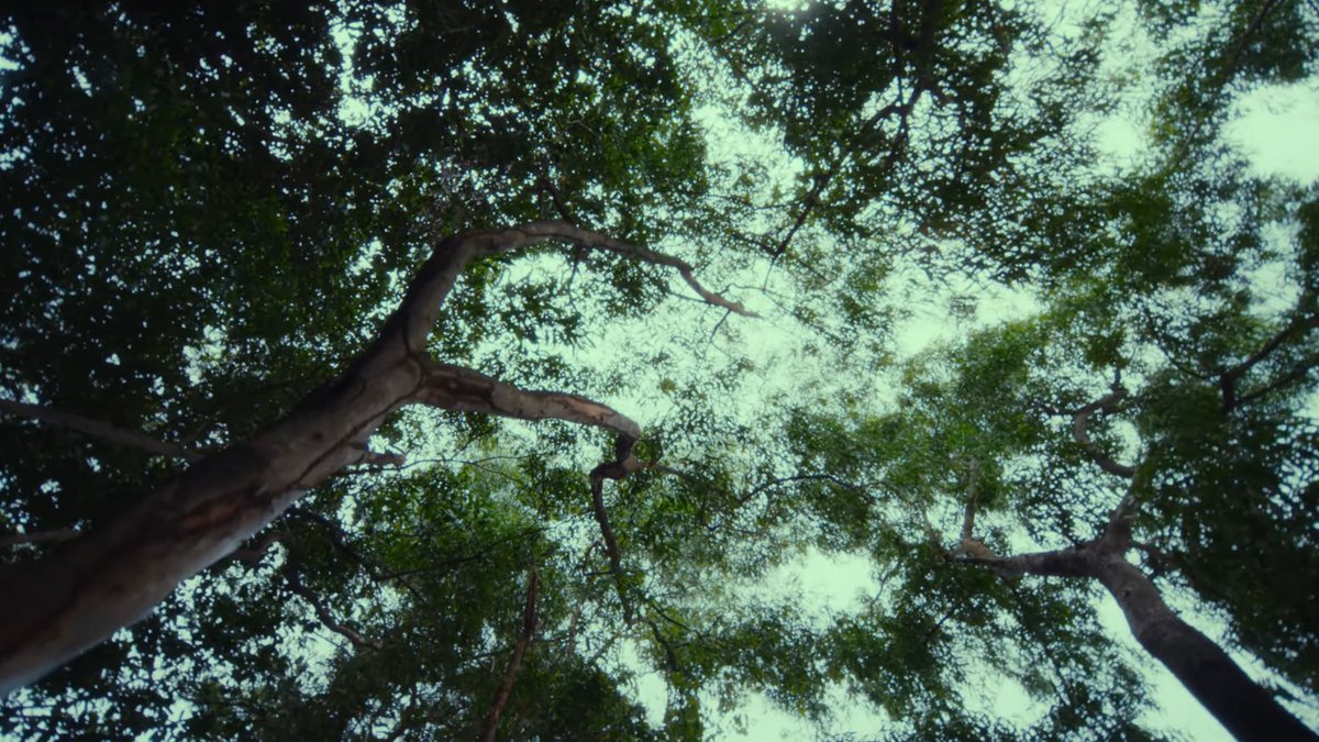 hyeokfs's tweet photo. haechan ‘rains in heaven’ ⋆⭒˚.⋆ https://t.co/LmM617UJm8