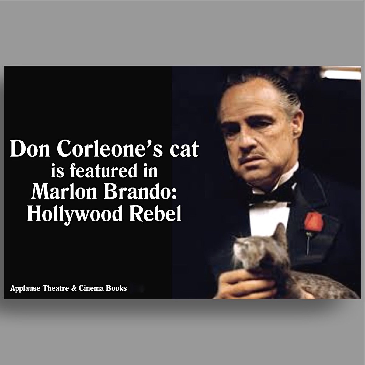 brandobook's tweet image. “If you’re a Brando fan, you’ve got to get this book!”
- Robert Bellissimo, host of ‘Robert Bellissimo at the Movies’ podcast
MarlonBrandoBook.com