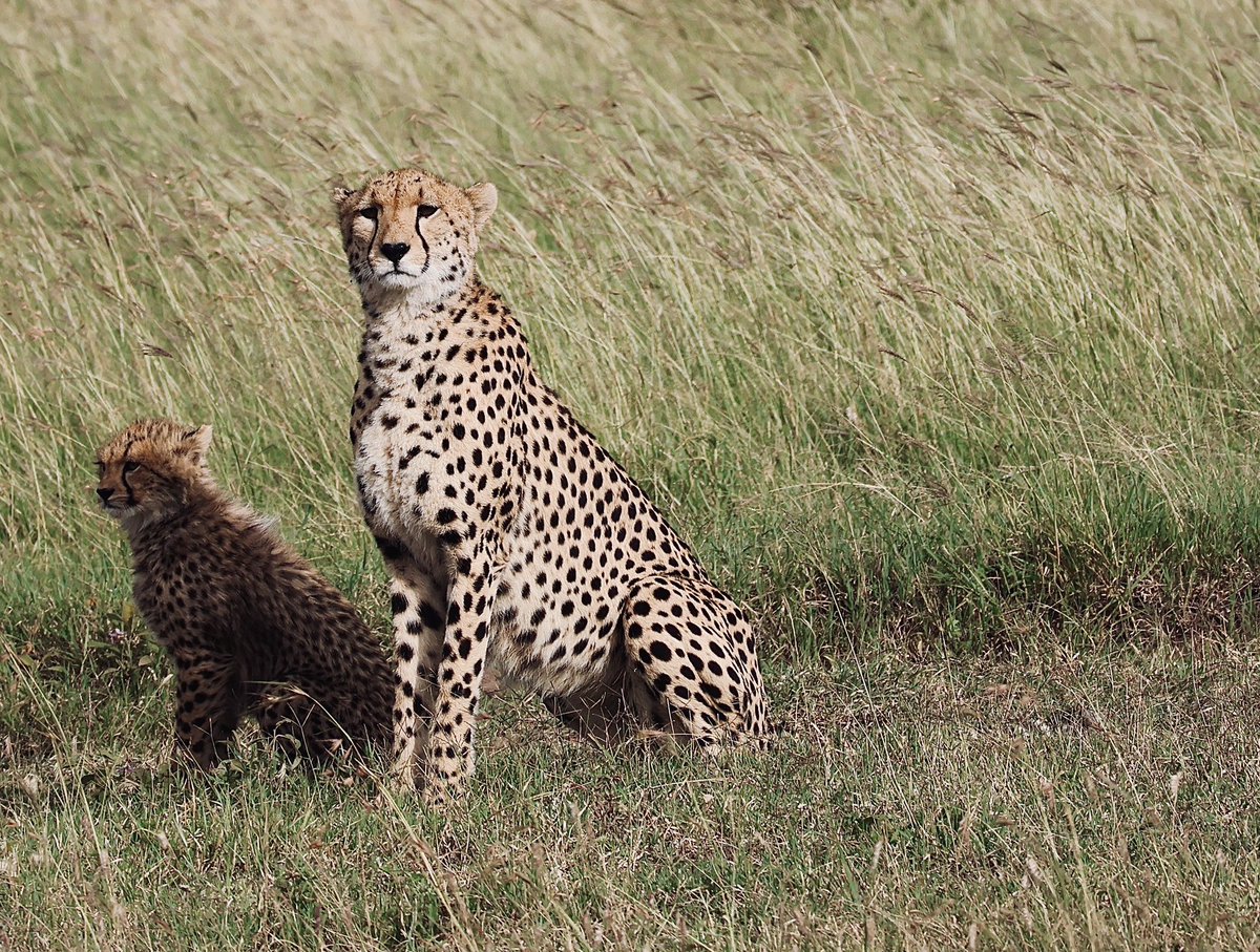 Jane Anderson tweet media