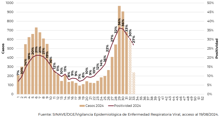 rafoji's tweet photo. INFORME SEMANAL DE LA COVID-19,INFLUENZA Y OVR,México 2024 SE33.
Covid:
-Positividad: en 27%, la de la semana previa la ajustaron a 30%  
-12,275 casos acumulados con 583 nuevos 
-495 defunciones acumuladas (35nuevas x 2da semana consecutiva) 
Agradezco RT 🧵1/ https://t.co/GKcIKzY0vl
