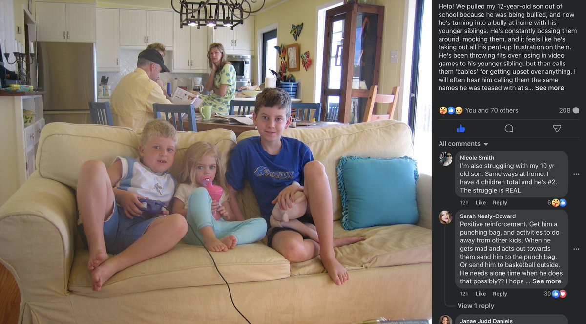 Lucas Lin tweet media