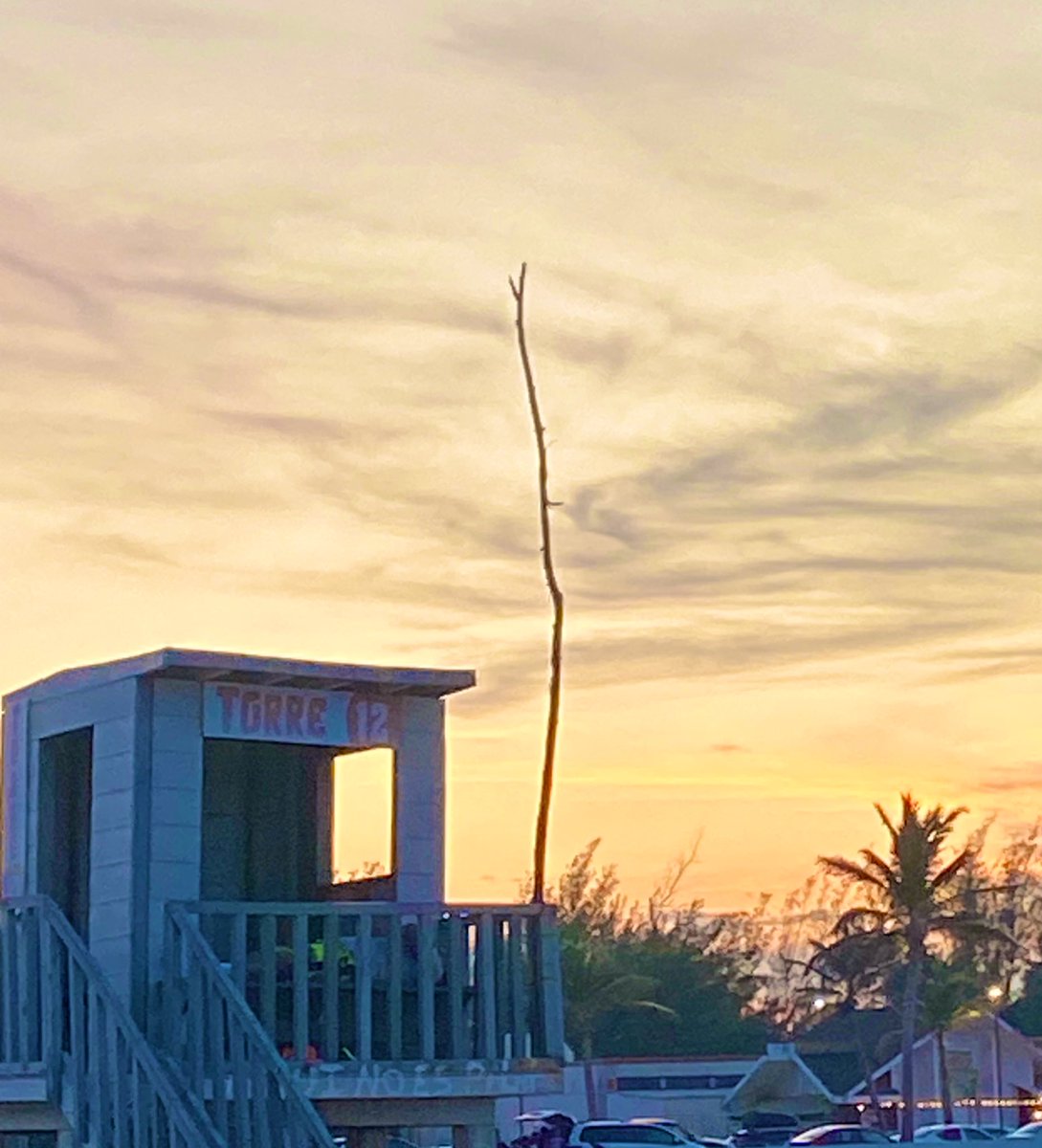 _shyguy_o's tweet photo. 🏝️ https://t.co/czqosnJAyw
