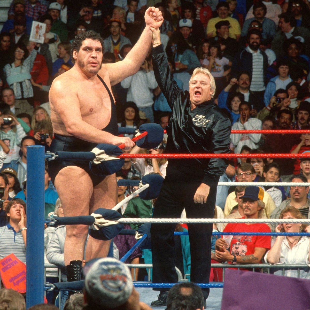 WWF Wrestling on X: 