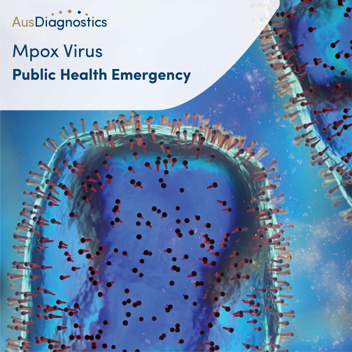 AusDiagnostics tweet media