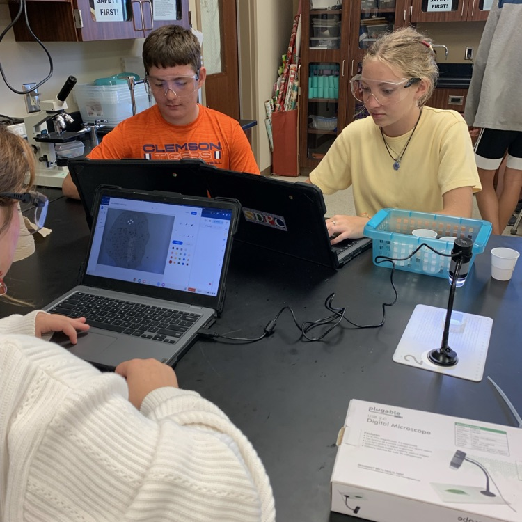 DWDanielHigh's tweet photo. The Celebrate Freedom Foundation and SCANG paid us a visit, while our Teacher Cadets shared their Big Books with faculty. Plus, our students dove into a Shrimp Brine Lab, exploring how salt concentration impacts brine shrimp hatching. #Day014 #STEMLearning #FutureTeachers" https://t.co/gju0TWYp2b