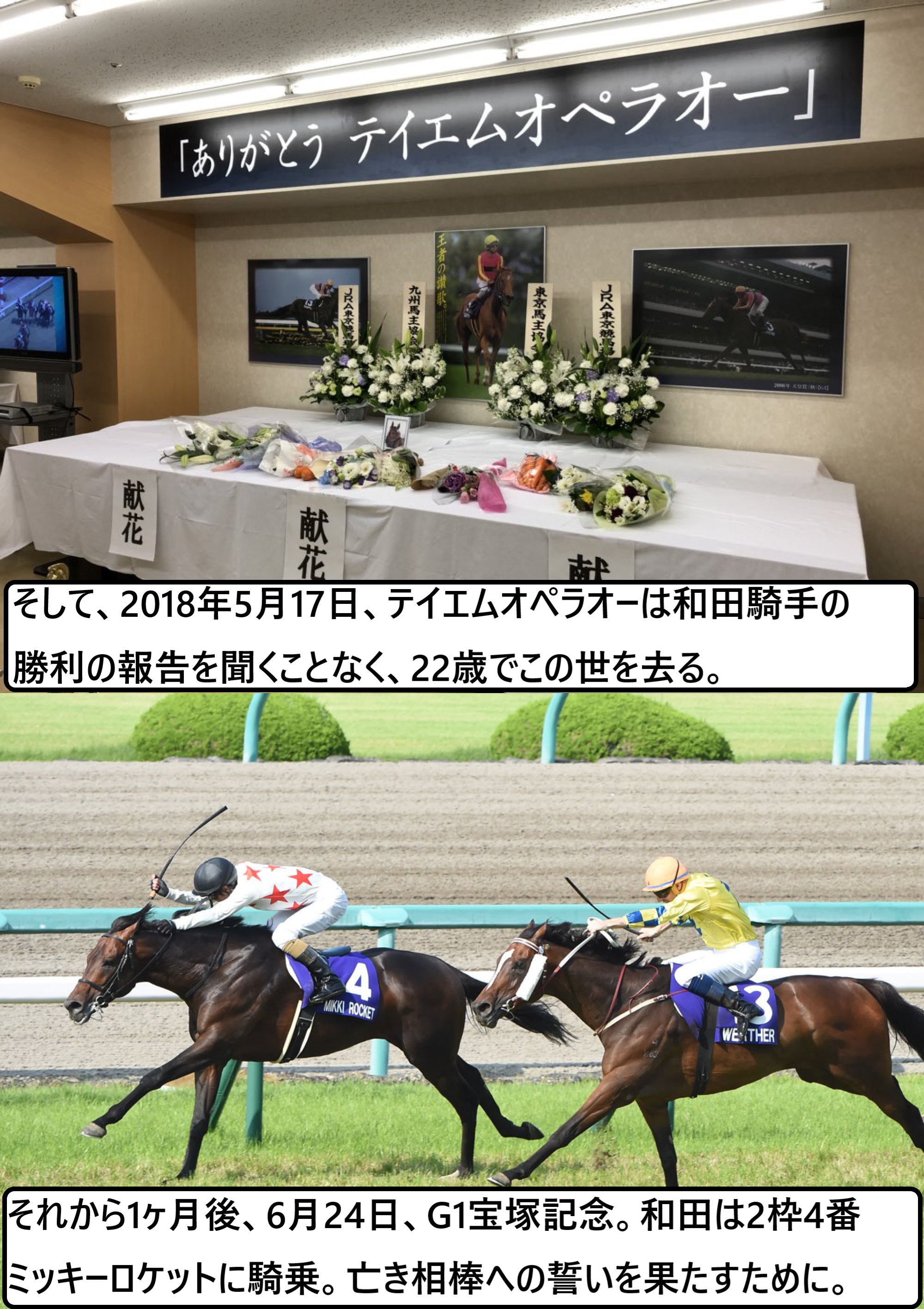 ハルカの競馬ちゃんねる🏇 on X: ハルカの競馬ちゃんねる🏇 on X:
