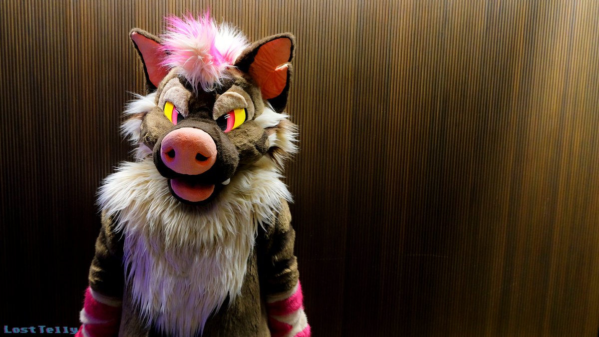 LostTelly's tweet photo. Photos of @HyenaHours https://t.co/xNJOtTlMRZ