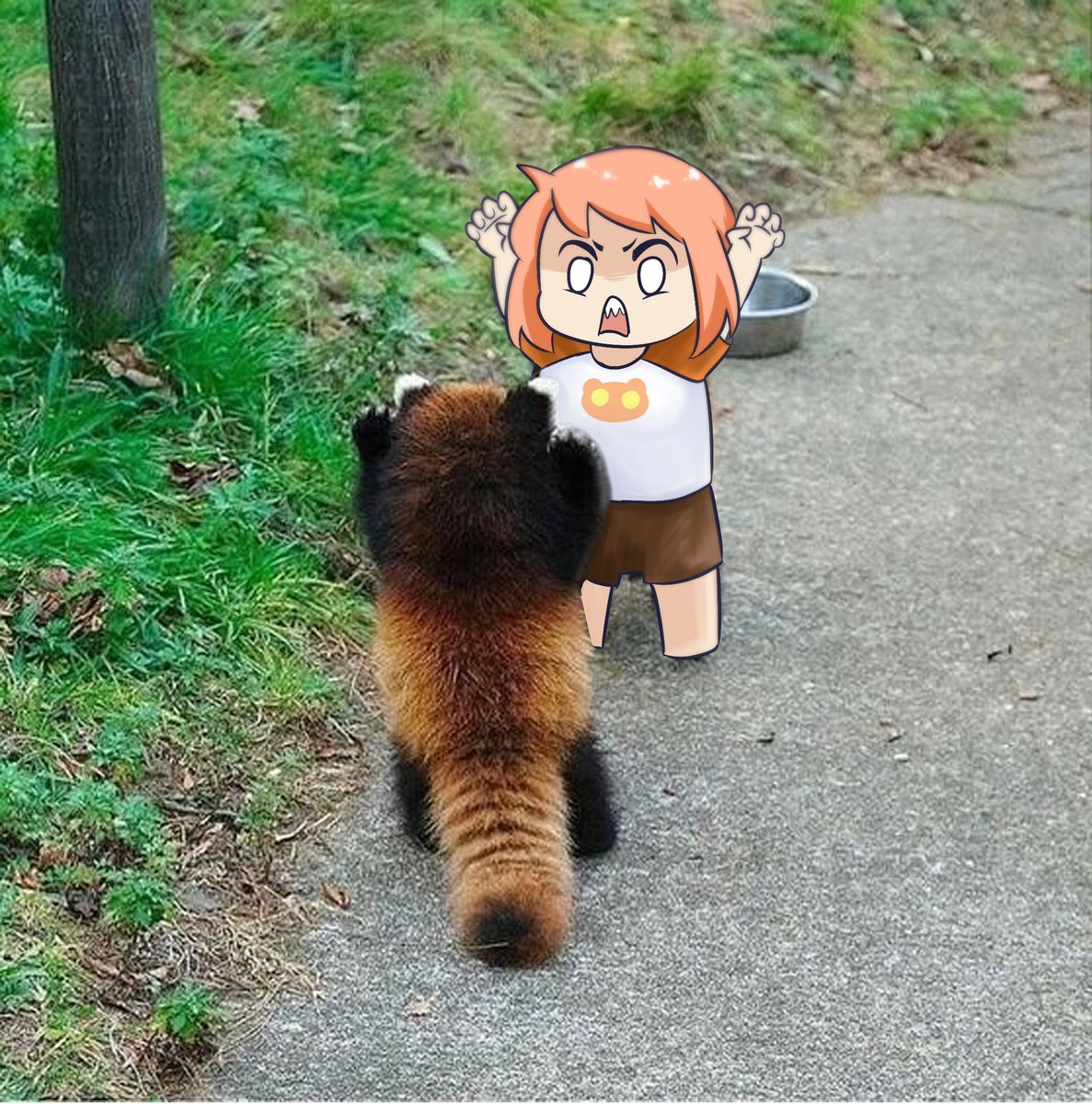 OrenTeko's tweet photo. rawr~~ https://t.co/r3qE1dvH2C