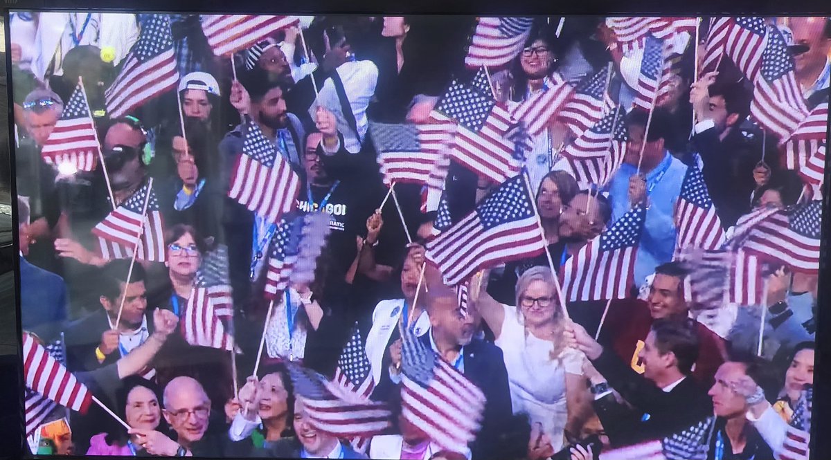 Suck it, MAGA. 
We're taking the flag back!