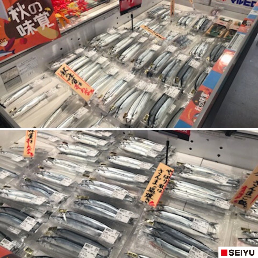生さんま拡大販売！／ 水揚げが開始され、秋の味覚の走りである「 #生