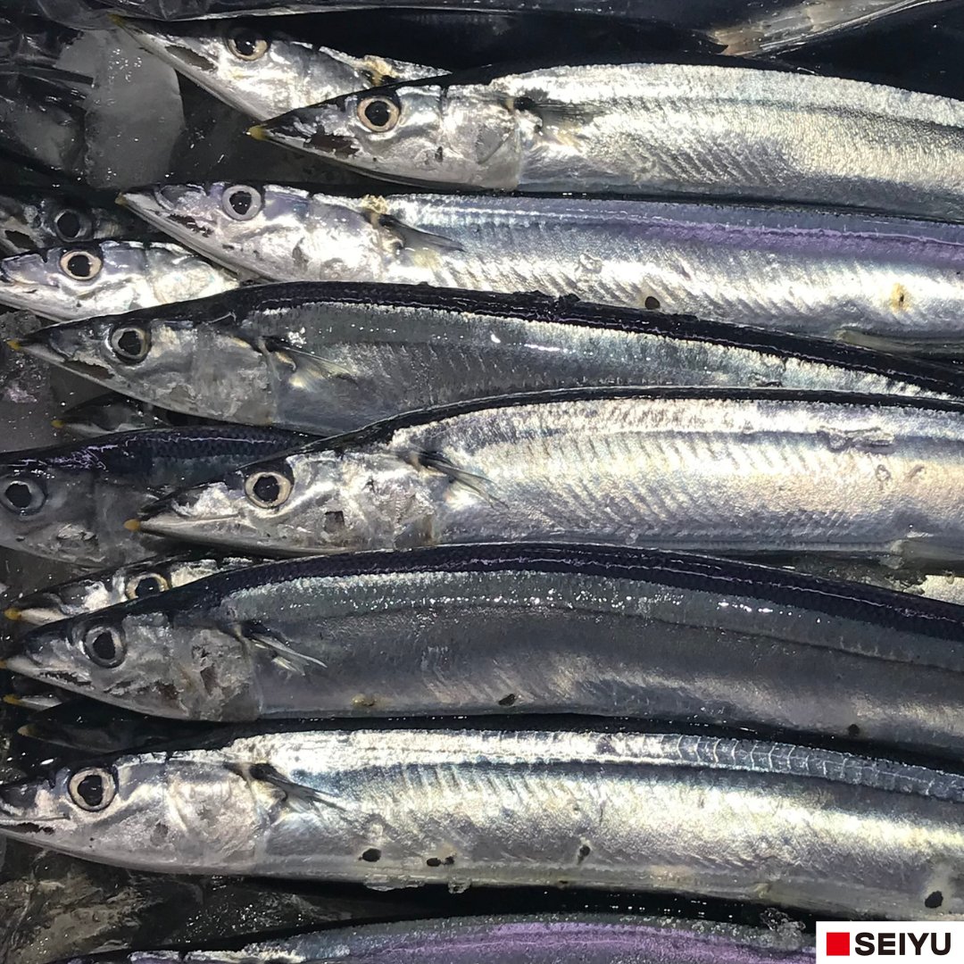 生さんま拡大販売！／ 水揚げが開始され、秋の味覚の走りである「 #生
